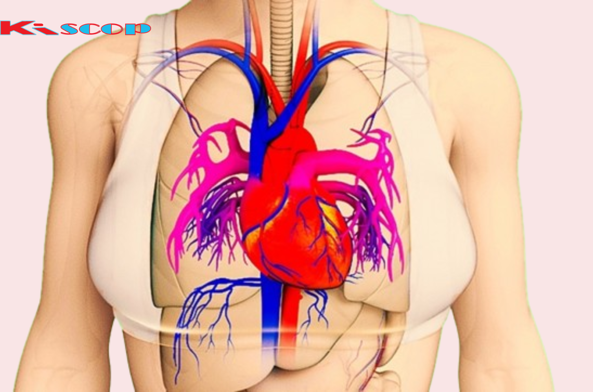 A Month Before a Heart Attack, Your Body Will Warn You: 6 Warning Signs to Recognize