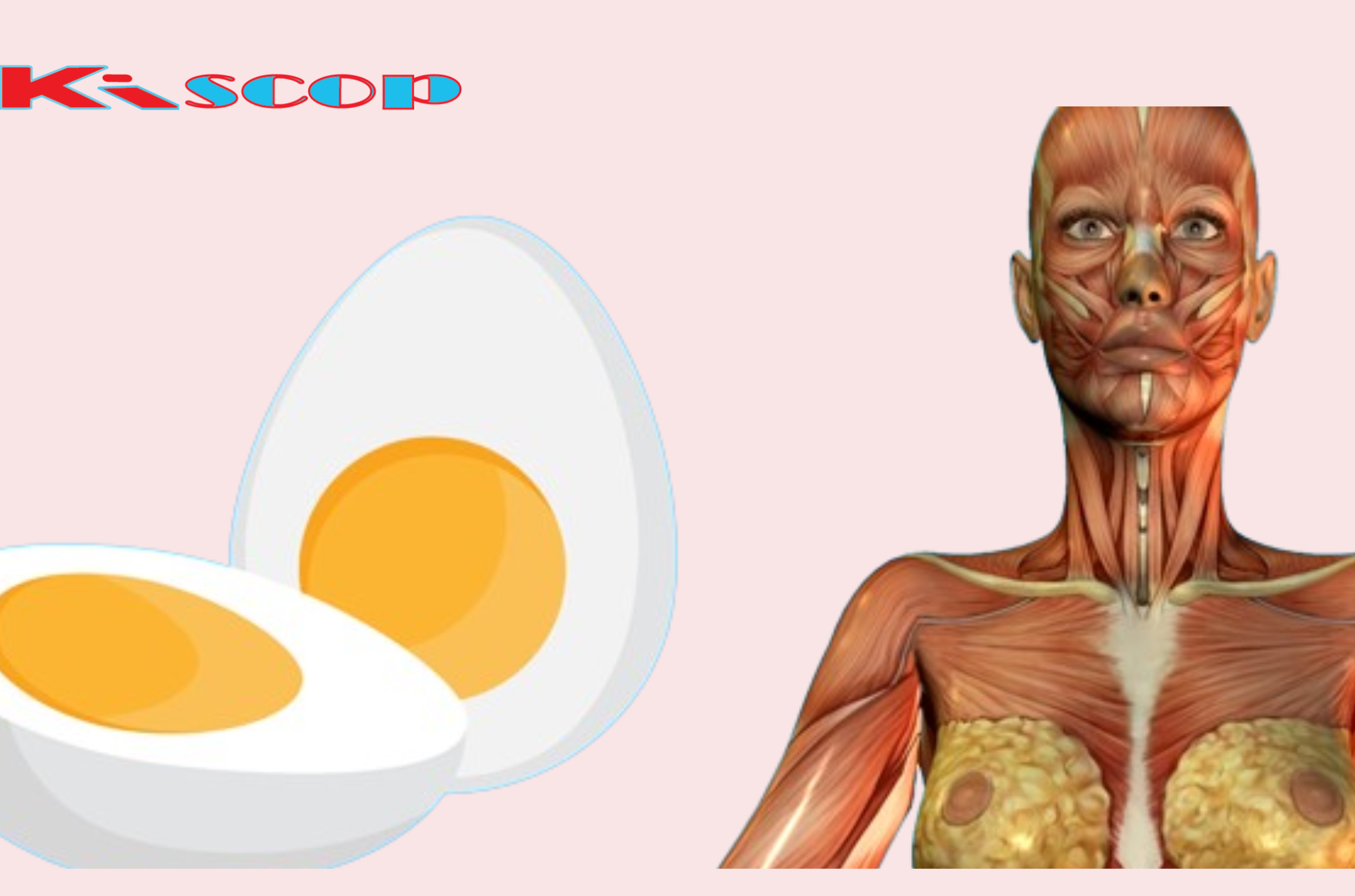 Here’s What Happens to Your Body When You Eat Two Eggs a Day: No. 3 is Awesome!